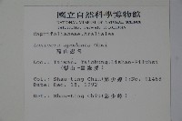 無梗忍冬藏品圖，第2張