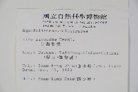 臺灣糊樗藏品圖，第2張