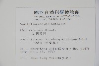 臺灣糊樗藏品圖，第2張