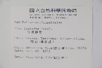 臺灣糊樗藏品圖，第2張