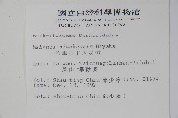 阿里山十大功勞藏品圖，第2張