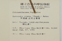 臺灣及己藏品圖，第2張