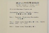 臺灣及己藏品圖，第2張