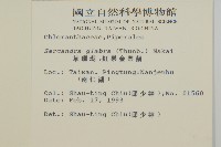 臺灣及己藏品圖，第2張