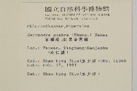 臺灣及己藏品圖，第2張