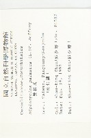 雙輪瓜藏品圖，第2張