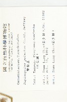 雙輪瓜藏品圖，第2張