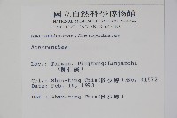 登錄號:S009996藏品圖，第2張