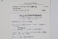 臺灣馬藍藏品圖，第2張