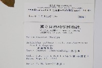 硬齒獼猴桃藏品圖，第2張