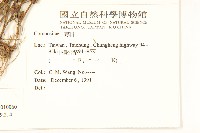 小蔓黃苑藏品圖，第2張