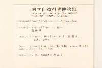 鼠麴草藏品圖，第2張