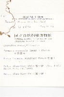 野牽牛藏品圖，第2張