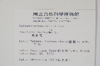 鳳仙花藏品圖，第2張