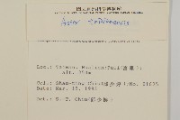 臺灣馬蘭藏品圖，第2張