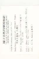 黑果馬交兒藏品圖，第2張