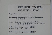 川上氏忍冬藏品圖，第2張