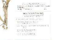 臺灣青木香藏品圖，第2張