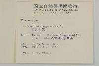 高山艾藏品圖，第2張