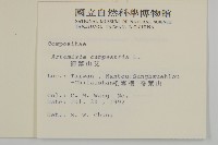 高山艾藏品圖，第2張