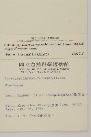 天蓬草藏品圖，第2張