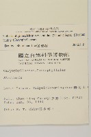 天蓬草藏品圖，第2張