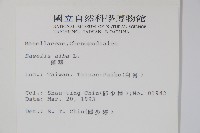 落葵藏品圖，第2張