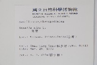 落葵藏品圖，第2張