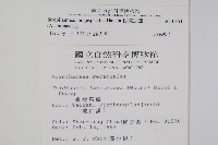 長穗馬藍藏品圖，第2張