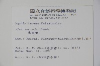 鐵冬青藏品圖，第2張