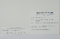 細梗絡石藏品圖，第2張