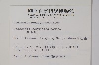 風不動藏品圖，第2張