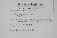 滿福木藏品圖，第2張