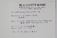 安旱草藏品圖，第2張