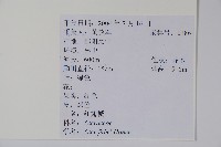 登錄號:S010461藏品圖，第2張