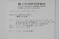 蘭嶼秋海棠藏品圖，第2張