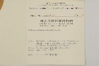 日本衛矛, 大葉黃楊藏品圖，第2張