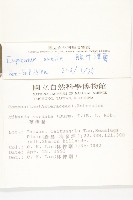 腺葉澤蘭藏品圖，第2張