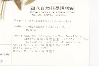 天蓬草舅藏品圖，第2張