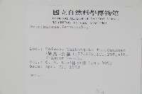 登錄號:S010605藏品圖，第2張