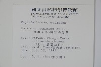 阿里山忍冬、漸尖葉忍冬藏品圖，第2張