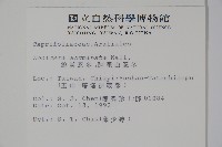 阿里山忍冬、漸尖葉忍冬藏品圖，第2張