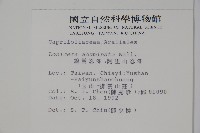 阿里山忍冬、漸尖葉忍冬藏品圖，第2張