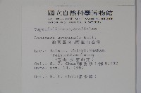 阿里山忍冬、漸尖葉忍冬藏品圖，第2張