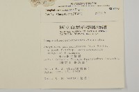 玉山抱莖籟簫藏品圖，第2張