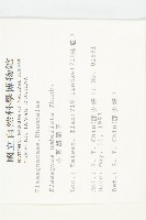 小葉胡頹子藏品圖，第2張