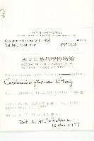 焊菜藏品圖，第2張