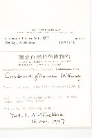 焊菜藏品圖，第2張