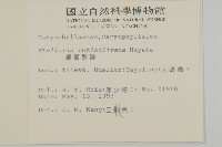 網脈繁縷藏品圖，第2張