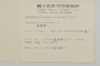 狗筋蔓藏品圖，第2張